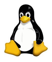 Razzismo: via i termini blacklist, master e slave dal kernel Linux
